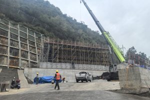 renhe-bridge-50